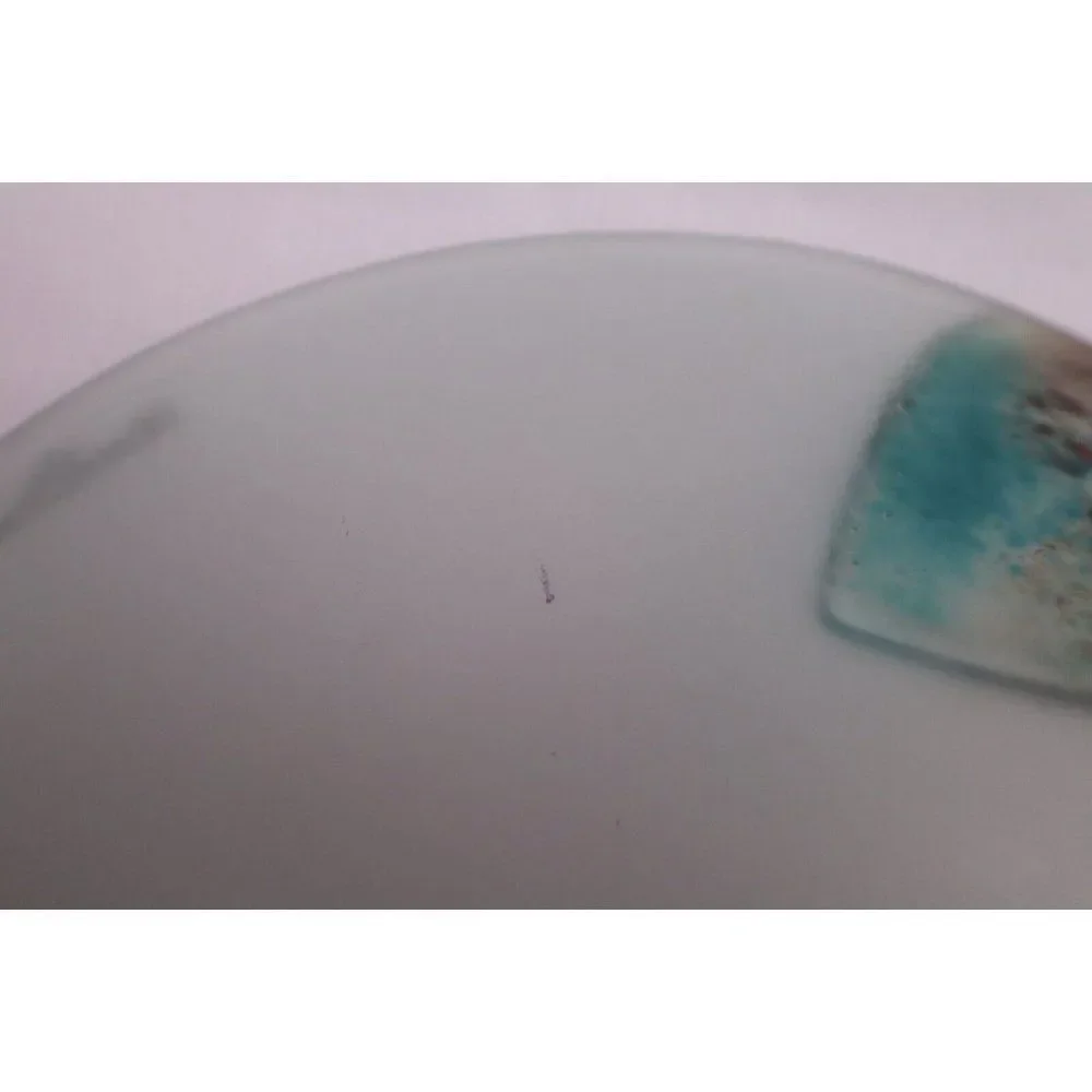 NWT Rosenthal Germany Frosted Glass Round Bowl Leaves Brown Blue Art Glass Decor